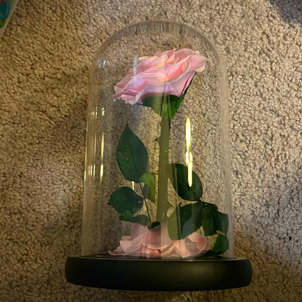 🌹 Preserved Pink Rose 🌹
